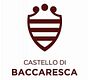 Castello di Baccaresca logo