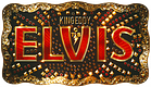 Elvis Tribute Show mit King Eddy – Die Gänsehautshow logo