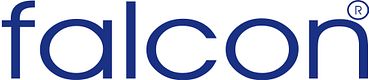 falcon Brandschutz und Arbeitssicherheit GmbH logo