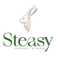 Magier Steasy logo