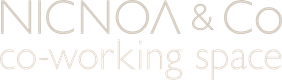 NICNOA & Co logo